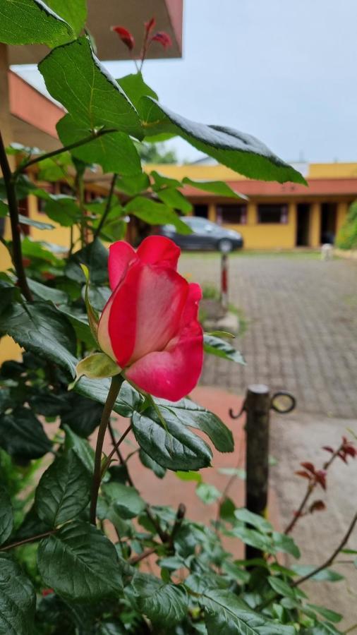 Hospedaje Osorno Bagian luar foto